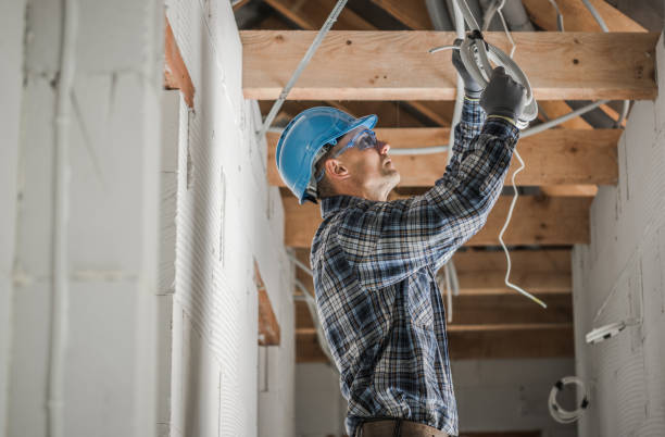 Best Electric Panel Repair  in Hazelwood, MO